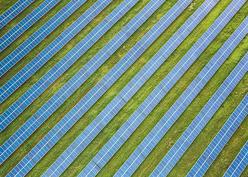 solar-field-in-blue1