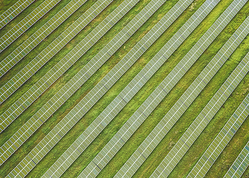 solar-field-in-blue2